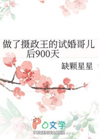 做了摄政王的试婚哥儿后900天